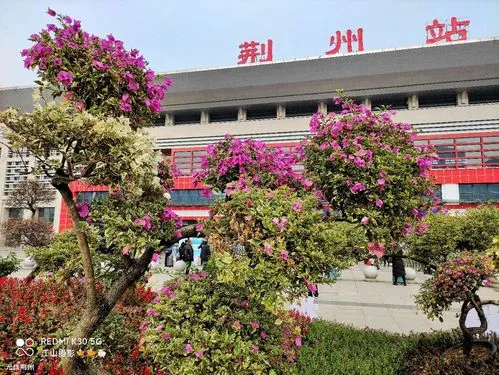 武漢到荊州物流專線-武漢至荊州貨運公司
