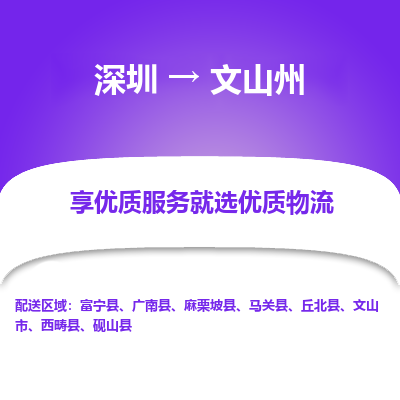 深圳到文山州貨運站-上門提貨-一對一服務