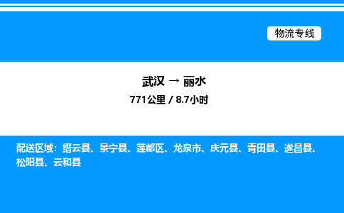 武漢到麗水物流專(zhuān)線-武漢至麗水貨運(yùn)公司