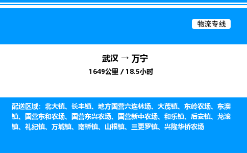 武漢到萬(wàn)寧物流專線-武漢至萬(wàn)寧貨運(yùn)公司